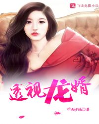 透视龙婿