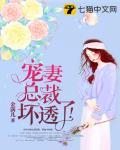 宠妻总裁坏透了