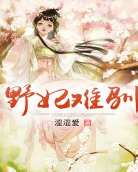 野妃难驯