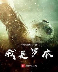 我是罗本