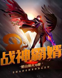 战神霸婿