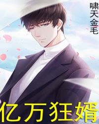亿万狂婿