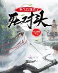 锦书雁回