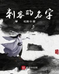刺客的名字