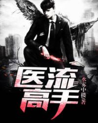 医流高手