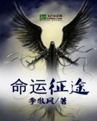 命运征途