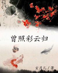 曾照彩云归