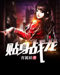 贴身战龙