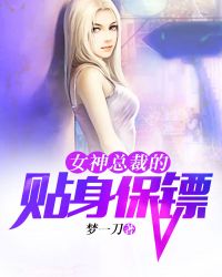 女神总裁的贴身保镖.