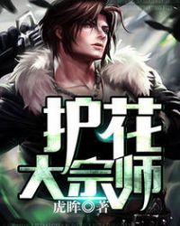 护花大宗师