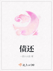 债还