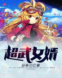 超武女婿