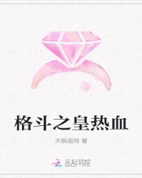 格斗之皇热血