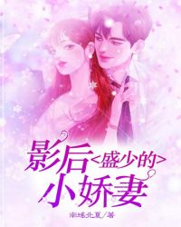 盛少的影后小娇妻