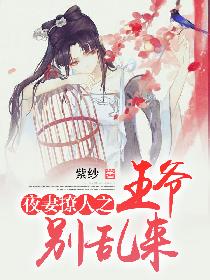 夜妻撩人之王爷别乱来
