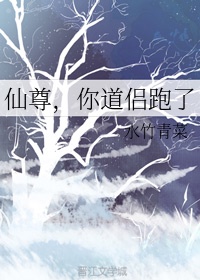 仙尊，你道侣跑了
