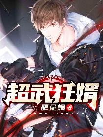 超武医婿
