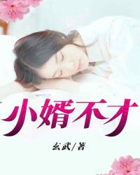小婿不才