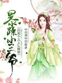 暴躁小王爷：抢来个夫人生崽崽