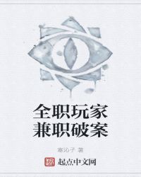全职玩家兼职破案
