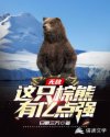 无敌：这只棕熊有亿点强