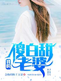 我的傻白甜老婆（又名：首席继承人、超级人生）