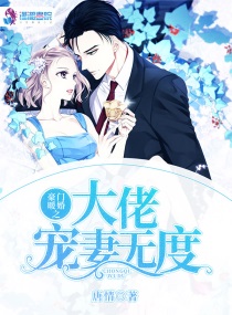 豪门暖婚之大佬宠妻无度