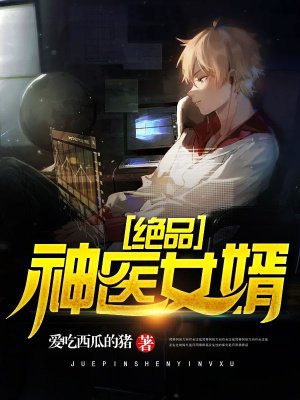 绝品神医女婿