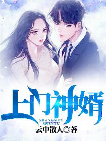 上门神婿