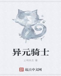 异元骑士