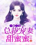一胎二宝：总裁宠妻甜蜜蜜