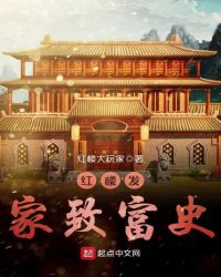 红楼发家致富史