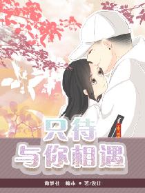 只待与你相遇