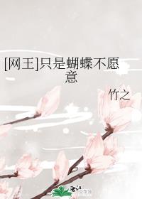 [网王]只是蝴蝶不愿意