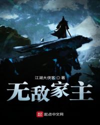 无敌家主