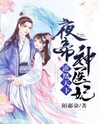 逆凰天下之夜帝神医妃