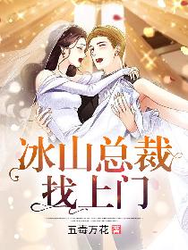 冰山总裁找上门