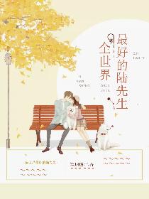 全世界最好的陆先生