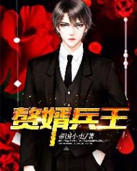 赘婿兵王