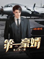 第一豪婿(又名：上门龙婿)
