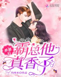 养崽后霸总他真香了