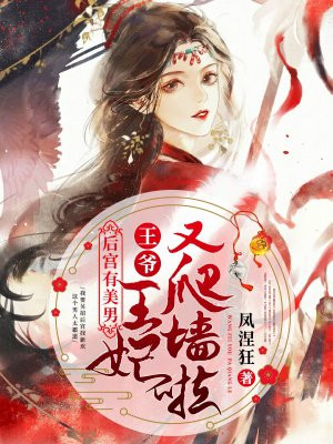 后宫有美男：王爷，王妃又爬墙啦