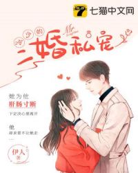 冷少的二婚私宠