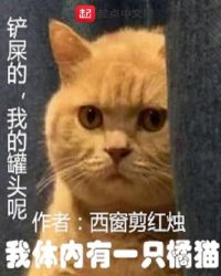 我体内有一只橘猫
