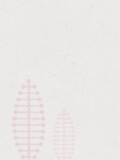 与谁行