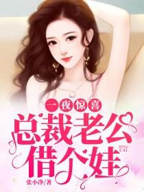 一夜惊喜：总裁老公借个娃