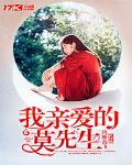 我亲爱的莫先生