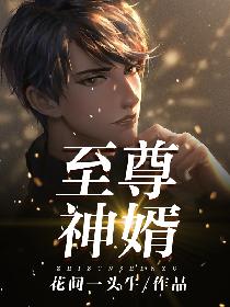 至尊神婿