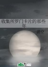收集所罗门卡片的那些年