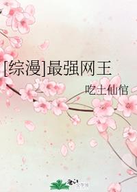 [综漫]最强网王